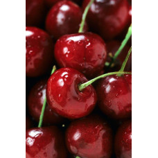Вишня домашня Ерді Крупноплідна (середня) | Prunus cerasus Erdi bopromo (middle) | Вишня домашняя Эрди Крупноплодная (средняя)