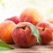 Персик домашній Кондор|Prunus persica ‘Condor’|Персик домашний Кондор