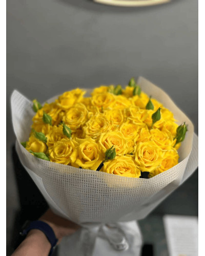 Троянда `Єлоу Бейбі`|Rosa `Yellow Baby`|Роза `Елоу Бейби`