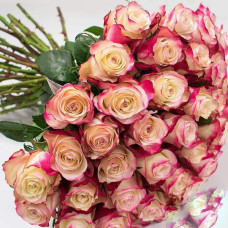 Троянда чайно-гібридна Світнес | Hybrid tea rose Sweetness | Роза чайно-гибридная Свитнес
