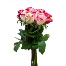 Троянда чайно-гібридна Світнес | Hybrid tea rose Sweetness | Роза чайно-гибридная Свитнес