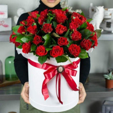 Троянда чайно-гібридна Ель Торо (червона) | Hybrid tea rose El Toro (red) | Роза чайно-гибридная Эль Торо (красная)