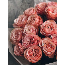 Троянда чайно-гібридна ’Кахала’|Hybrid tea rose ’Kahala’|Роза чайно-гибридная ’Кахала’