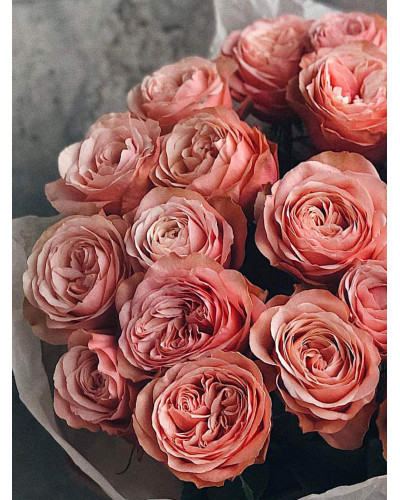 Троянда чайно-гібридна ’Кахала’|Hybrid tea rose ’Kahala’|Роза чайно-гибридная ’Кахала’