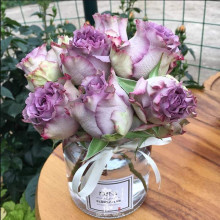 Троянда чайно-гібридна ’Дольчетто’|Hybrid tea rose ’Dolcetto’|Роза чайно-гибридная ’Дольчетто’