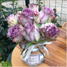 Троянда чайно-гібридна ’Дольчетто’|Hybrid tea rose ’Dolcetto’|Роза чайно-гибридная ’Дольчетто’