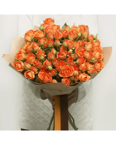 Троянда ’Оранж Бейбі’|Rosa ’Orange Baby’|Роза ’Оранж Бейби’
