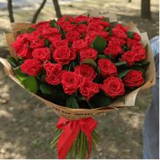 Троянда чайно-гібридна ‘Ель торро’|Hybrid tea rose ‘El Torro’|Роза чайно-гибридная ’Эль торро’