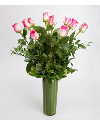 Троянда чайно-гібридна Малібу | Hybrid tea rose Malibu | Роза чайно-гибридная Малибу