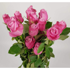 Троянда чайно-гібридна ’Діпп Воттер’|Hybrid tea rose ’Deep Water’|Роза чайно-гибридная ’Дипп Уоттер’