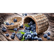 Лохина високоросла Река | Vaccinium corymbosum Reka | Голубика высокорослая Река