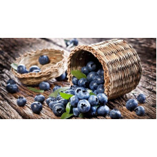 Лохина високоросла Река | Vaccinium corymbosum Reka | Голубика высокорослая Река