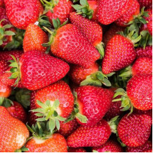 Полуниця Мурано | Fragaria ananassa Murano | Клубника Мурано