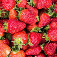 Полуниця Мурано | Fragaria ananassa Murano | Клубника Мурано
