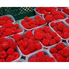 Тибетська малина / Малина трояндолиста Юстина | Rubus Illecebrosus Justina | Тибетская малина / Малина розолистная Юстина