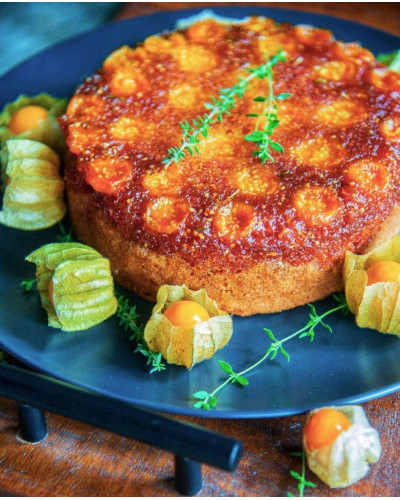 Аґрус Золотистий (середній) | Ribes uva-crispa Zolotystyj (middle) | Крыжовник Золотистый (средний)