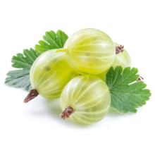 Аґрус Уайт Сміт (середній) | Ribes uva-crispa White Smith (middle) | Крыжовник Уайт Смит (средний)