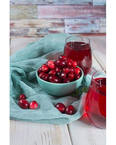 Журавлина великоплідна Ерлі Блек | Vaccinium macrocarpon Early Black | Клюква крупноплодная Эрли Блэк