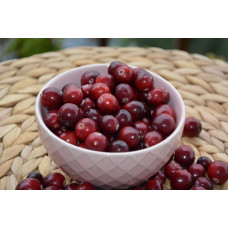Журавлина великоплідна Ерлі Блек | Vaccinium macrocarpon Early Black | Клюква крупноплодная Эрли Блэк