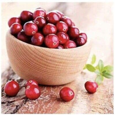 Журавлина великоплідна Ерлі Блек | Vaccinium macrocarpon Early Black | Клюква крупноплодная Эрли Блэк