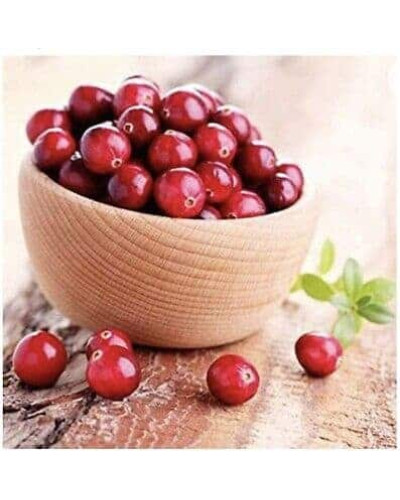 Журавлина великоплідна Ерлі Блек | Vaccinium macrocarpon Early Black | Клюква крупноплодная Эрли Блэк
