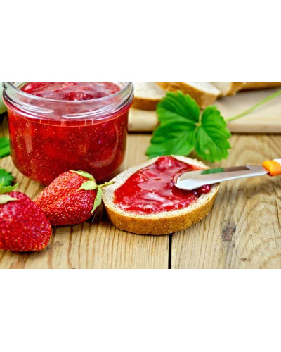 Полуниця Альба (супер рання) | Fragaria Alba | Клубника Альба (супер ранняя)