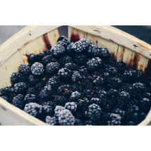 Ожина безколючкова Чачанска Бестрна | Rubus fruticosus Cacanska Bestrna | Ежевика бесшипная Чачанска Бестрна