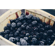 Ожина безколючкова Чачанска Бестрна | Rubus fruticosus Cacanska Bestrna | Ежевика бесшипная Чачанска Бестрна