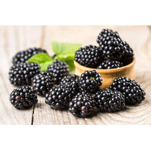 Ожина безколючкова Смутстем | Rubus fruticosus Smutstem | Ежевика бесшипная Смутстем