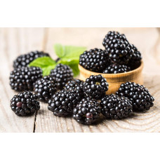 Ожина безколючкова Смутстем | Rubus fruticosus Smutstem | Ежевика бесшипная Смутстем