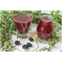 Ожина безколючкова Коламбія Стар | Rubus fruticosus Columbia Star | Blackberry Columbia Star | Ежевика бесшипная Коламбия Стар