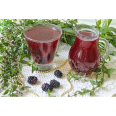 Ожина безколючкова Коламбія Стар | Rubus fruticosus Columbia Star | Blackberry Columbia Star | Ежевика бесшипная Коламбия Стар