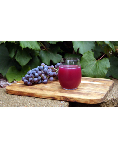 Виноград столовий Молдова | Vitis vinifera Moldova | Виноград столовый Молдова