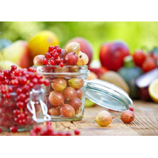 Аґрус Сварог (середній) | Ribes uva-crispa Svarog | Крыжовник Сварог (средний)