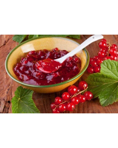 Смородина червона Чародійка (пізня) | Смородина красная Чародейка (поздняя) | Ribes rubrum Charodyka