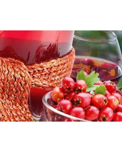 Глід звичайний плодовий | Crataegus laevigata | Боярышник обыкновенный плодовый
