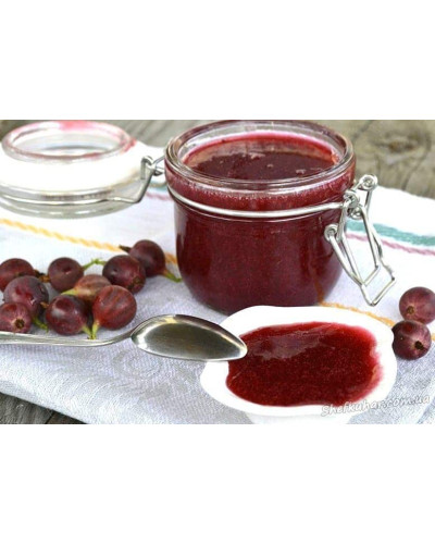 Аґрус Грушенька (середньопізній) | Ribes uva-crispa Grushenka | Крыжовник Грушенька (среднепоздний)