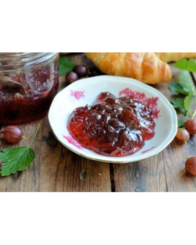 Аґрус Колобок (середній) | Ribes uva-crispa Bun | Крыжовник Колобок (средний)