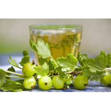 Аґрус Російський жовтий (середній) | Ribes uva-crispa Russkiy zheltiy | Крыжовник Русский желтый (средний)