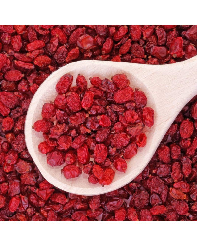 Барбарис звичайний їстівний | Berberis vulgaris | Барбарис обыкновенный съедобный