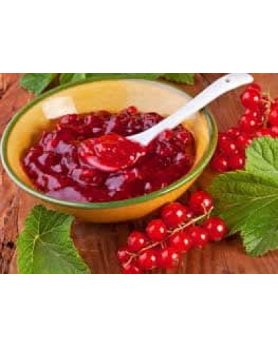 Смородина червона Каскад | Каскад Ribes rubrum Kaskad | Смородина красная Каскад