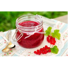 Смородина червона Ровада | Ribes rubrum Rovada | Смородина красная Ровада