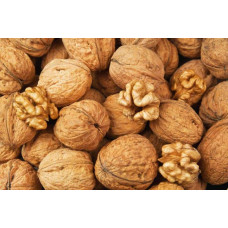 Горіх грецький Буковинський-2 | Juglans regia Bukovinskiy-2 | Орех грецкий Буковинский-2