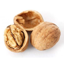 Горіх волоський Кодрене | Орех грецкий Кодрене | Juglans regia Codrene