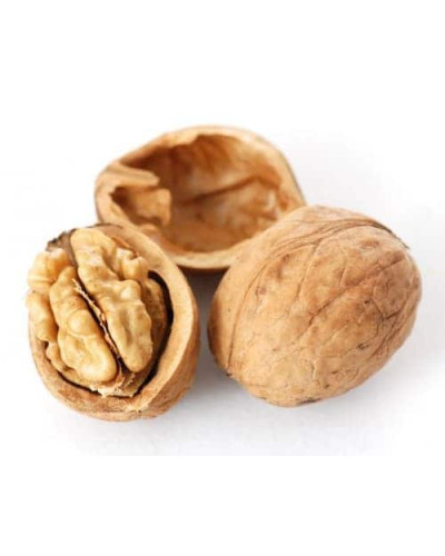 Горіх волоський Кодрене | Орех грецкий Кодрене | Juglans regia Codrene