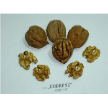 Горіх волоський Кодрене | Орех грецкий Кодрене | Juglans regia Codrene