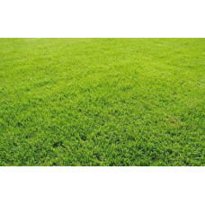 Газонна трава Turfline ORNAMENTAL, 1 кг