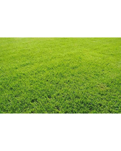 Газонна трава Turfline ORNAMENTAL, 1 кг