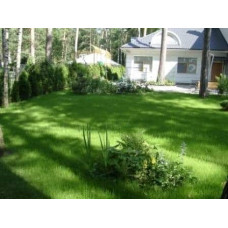 Газонна трава Turfline ORNAMENTAL, 1 кг