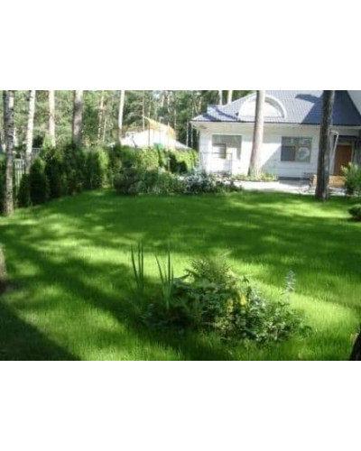 Газонна трава Turfline ORNAMENTAL, 1 кг